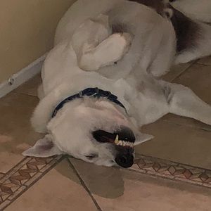 Meet your Posher, Christal